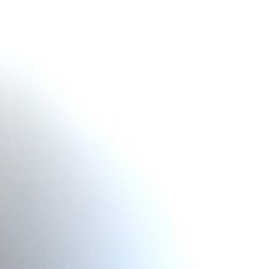 Meet your Posher, Ali